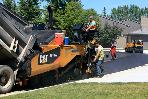 Best Driveway Repair Near Me  in Vla Grove, IL